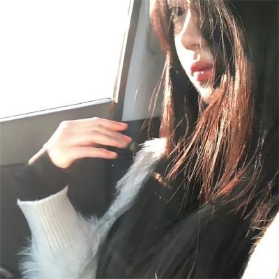 大盗贺钦布龙兹